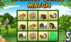 Animals Cards Match