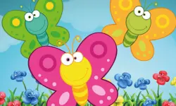 Butterfly Matching image