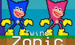 Twins Zonic image