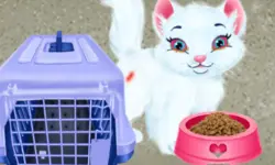 Baby Taylor Pet Care