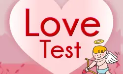 Love Test image