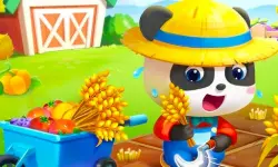 Baby Panda Dream Garden