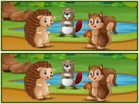 Spot The Differences Forests