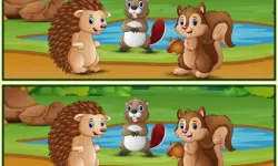 Spot The Differences Forests image