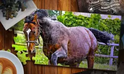Jigsaw Puzzle Horses Edition image