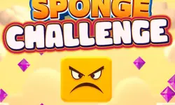 Sponge Challenge image