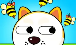 DOT RESCUE MAIN image