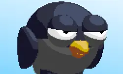 Pigeons Pigeons image