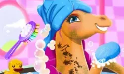 Fairy Pony Caring Adventure