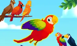 Flappy color birds image