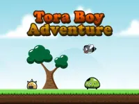 Tora Boy Adventure