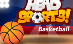 Head Sports Basketball