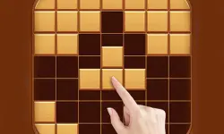 Wood Block Puzzle Games