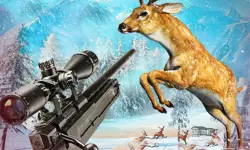 Deer Hunting Adventure:Animal Shooting Games image