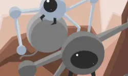 Tri Achnid background