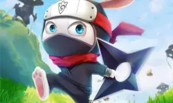 Ninja Rabbit image
