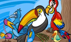 Exotic Birds Coloring image