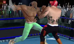 Real Boxing Fighting Game