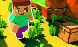 Craft Runner - Mine Rush image