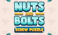 Nuts and Bolts: Screw Puzzle