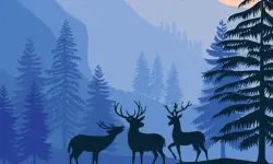 Landscape Paradise Hidden