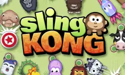 Sling Kong image