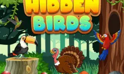 Hidden Birds image