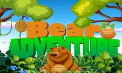 Bear Adventure Online Game