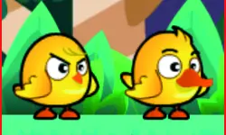 Chicken And Duck Brothers image