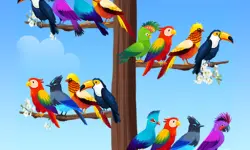 Bird Sort Puzzles