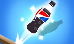 The Bottle Flip