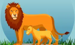 Wild Animals and Their Babies