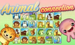 Animal Connection