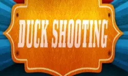 DuckShooting background
