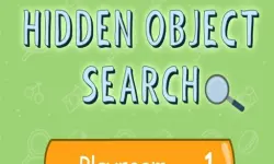 Hidden Object Search