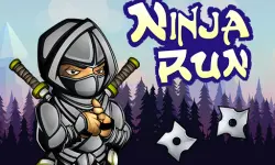 Run Ninja image