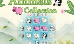 Animals Collection image