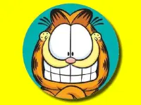 Garfield Hidden Stars