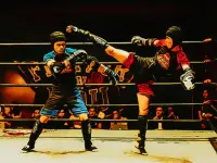 Fighters in the Ring
