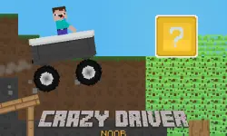 Crazy Driver Noob