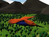 Bird Simulator background
