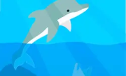 Dolphin Life image