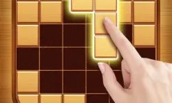 Wood Block Puzzle - Brain Game image