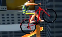 Bicycle Stunt 3D