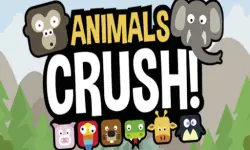 Animal Crush Match