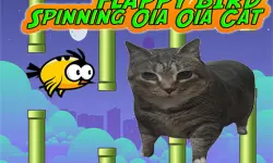 Flappy Bird Spinning oia oia Cat