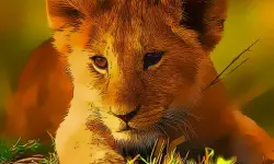 Wild Baby Animals Jigsaw