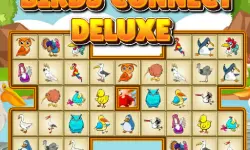Birds Connect Deluxe