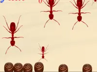 Smash All Ants background
