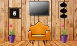 Backyard Entrance Escape